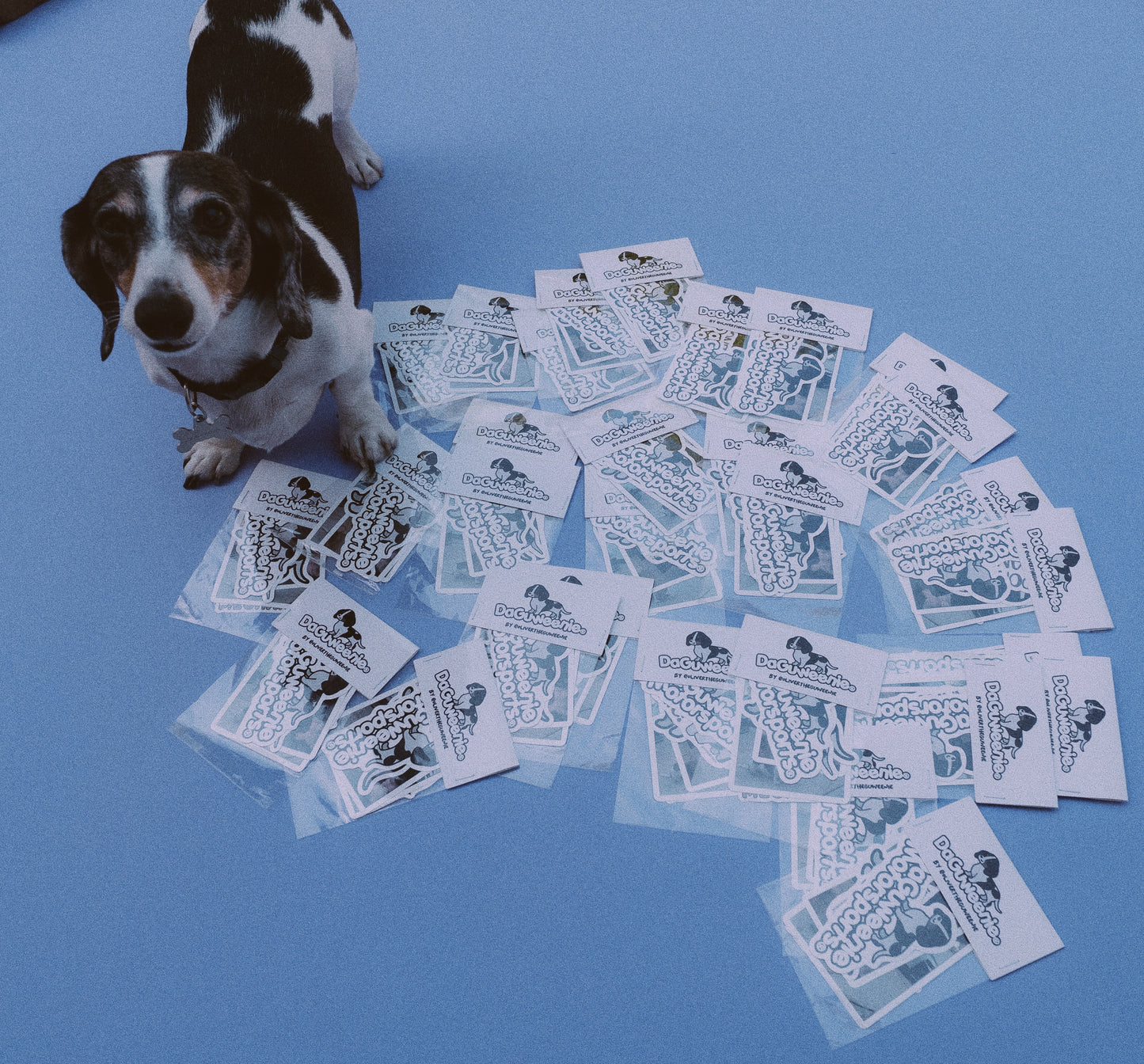 Ollie Sticker Pack