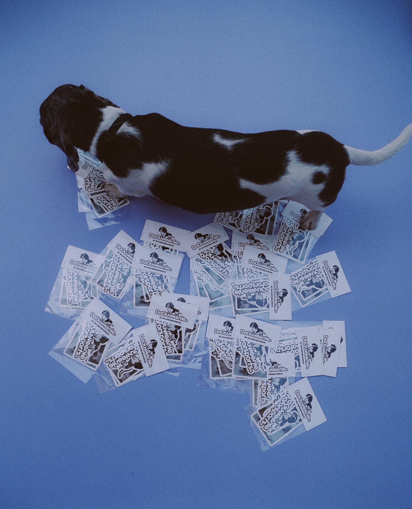 Ollie Sticker Pack